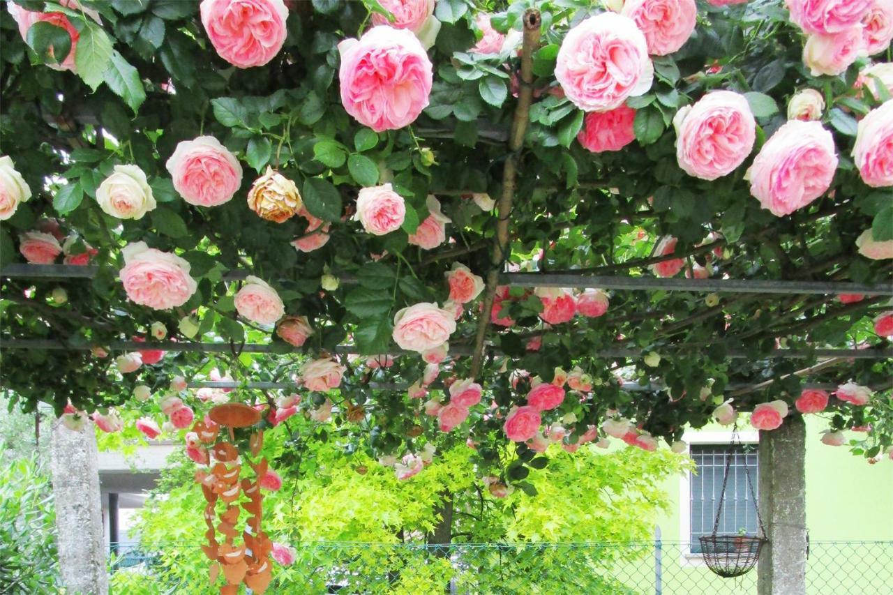 Bed And Breakfast Lucia Cesena Buitenkant foto